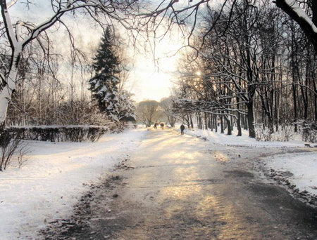 599_winterpoland-witelburkiewicz-st-petersborg.jpg