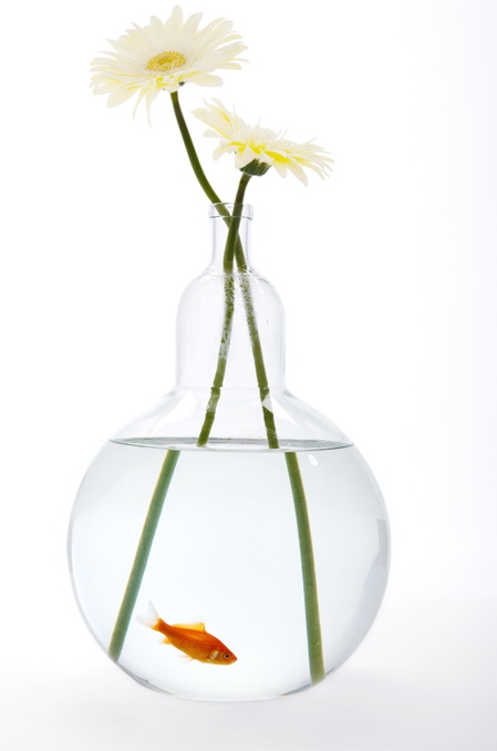 web-fishbowl-bottle-vase.jpg