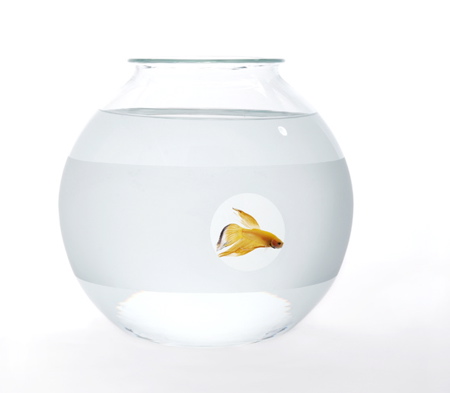 web-fishbowl-private-matters.jpg