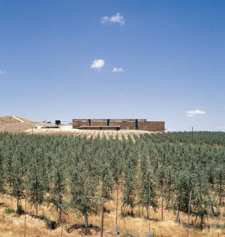 olisur-olive-oil-factory-by-gh-a-architects-8.jpg