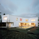 house-in-binningen-by-luca-selva-architects-house-in-binningen-by-luca-selva-architects-1
