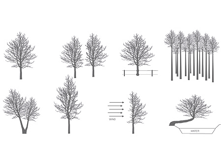 the-idea-of-a-tree-by-mischertraxler-22.gif