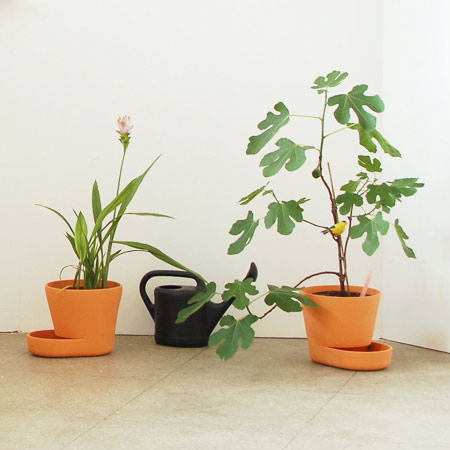 plant-pots_uli-budde1.jpg