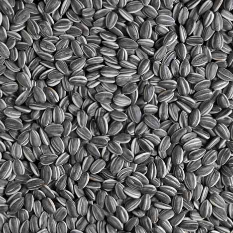 Sunflower Seeds 2010 by Ai Weiwei