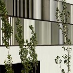 Castellbisbal School by MMDM Arquitectes