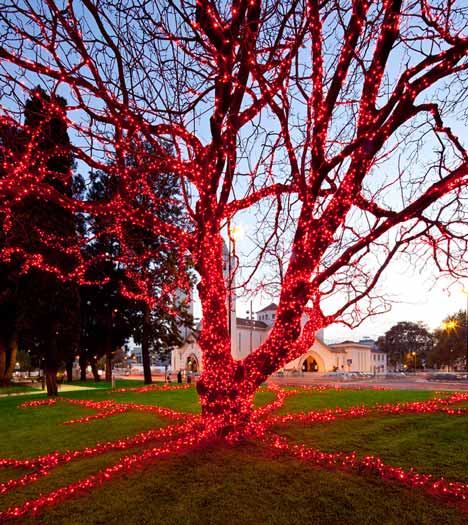 Lisbon Christmas Lights by Pedro Sottomayor, José Adrião and ADOC Lisbon Christmas Lights by Pedro Sottomayor, José Adrião and ADOC