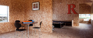 Stealth Barn by Carl Turner Architects