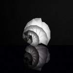 IN-EI by Issey Miyake for Artemide