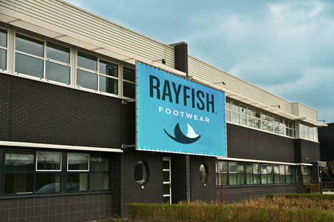 Rayfish offices