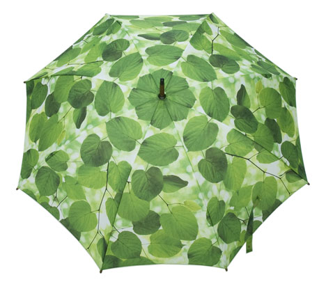 Umbrellas by Ella Doran