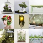 New Pinterest board: plants
