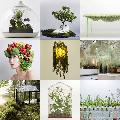 New Pinterest board: plants