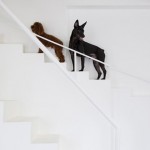 This week on Dezeen