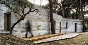 House In A Pine Wood By Sundaymorning And Massimo Fiorido Associati