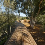 The Puff adder by Patrice Taravella and Terry de Waal