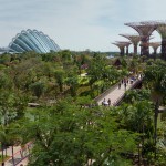 Gardens by the Bay