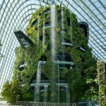 Cooled Conservatories at Gardens by the Bay by Wilkinson Eyre Architects
