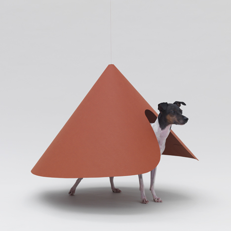 Architecture for Dogs