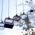 "I brought bird cages back to the Seven Dials area" - Dominic Wilcox