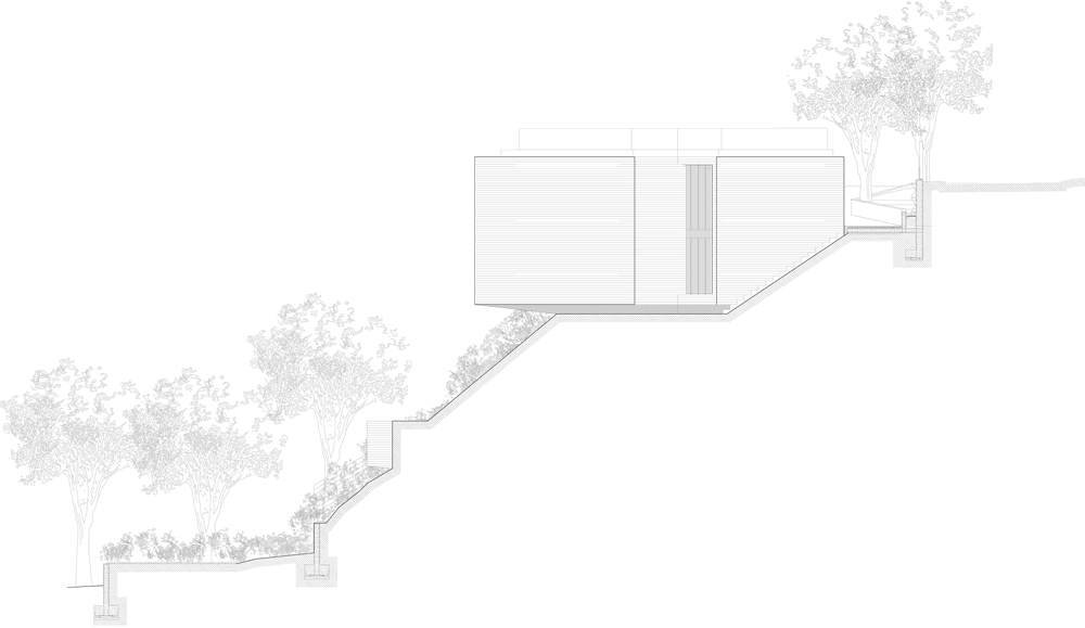 X House by Cadaval Sol