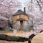 Competition: three copies of Tree Houses to be won
