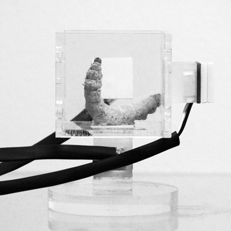 Robot silk worms to print pavilion Robot silk worms to print pavilion