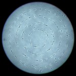 "I think we were the first in history to motion-capture our own sperm"