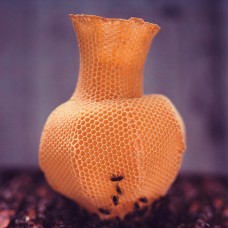 The Honeycomb Vase by Tomáš Libertíny