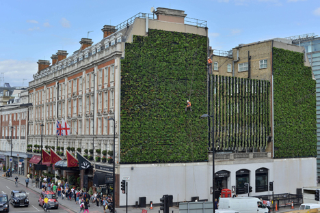 London's largest living wall designed to reduce urban flooding.