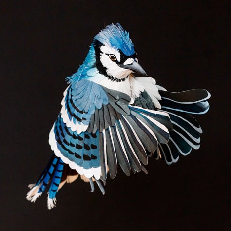 Paper birds by Diana Beltran Herrera
