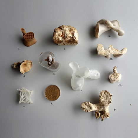Samples for Mycelium Chair by Eric Klarenbeek