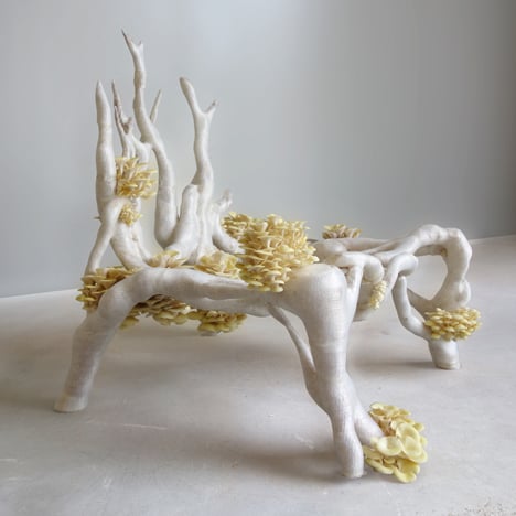 Mycelium Chair by Eric Klarenbeek
