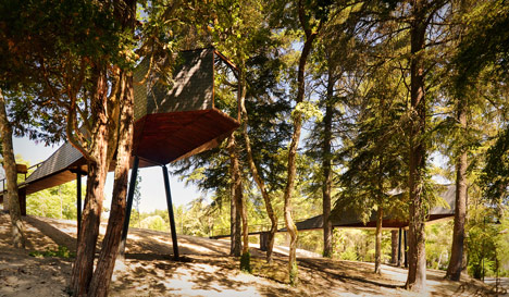 Tree Snake Houses by Luís and Tiago Rebelo de Andrade