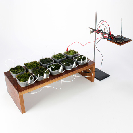 Worlds first moss powered radio