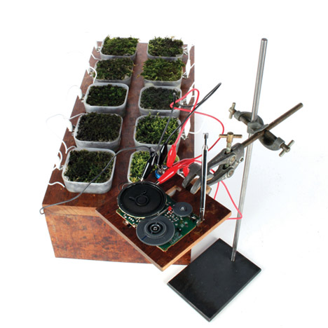 Worlds first moss powered radio