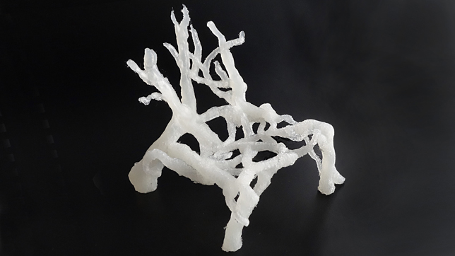 Eric Klarenbeek interview on furniture made from 3D-printed fungus