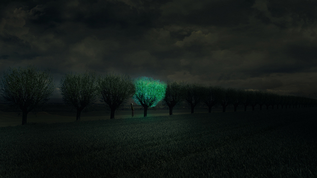 Glowing-Tree-Roosegaarde-Dezeen_644