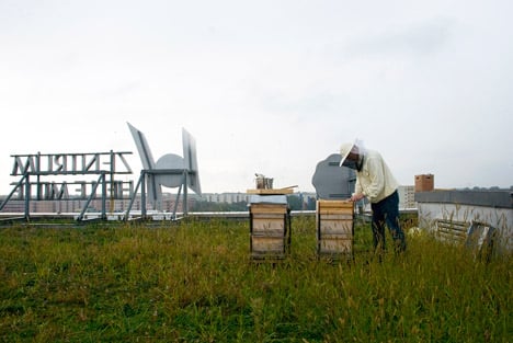 Apiarium beehive by Bettina Madita Bohm