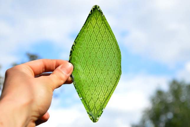 Silk Leaf by Julian Melchiorri
