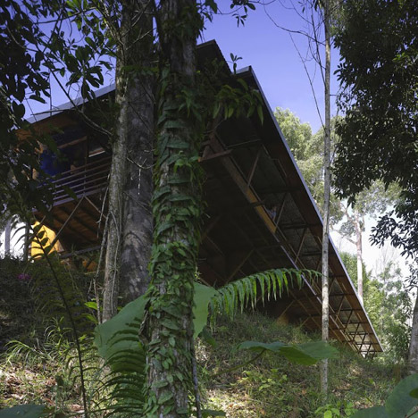 Shelter at Rainforest by Marra and Yeh Architects