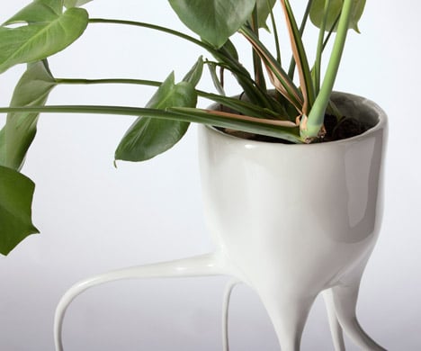 Monstera plant pots by Tim van de Weerd