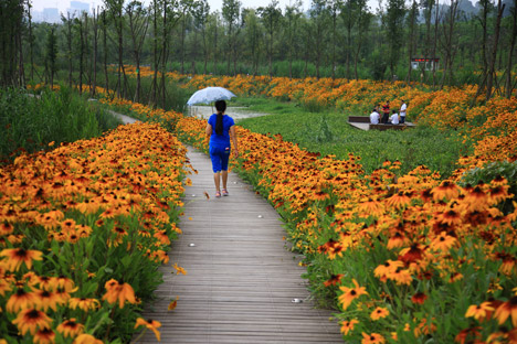 Minghu Wetland Park by Turenscape