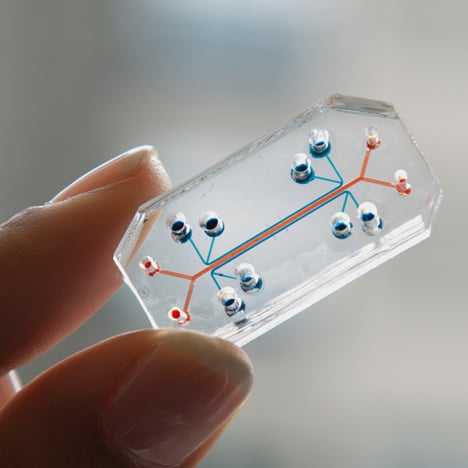Organs-on-Chips by the Wyss Institute for Biologically Inspired Engineering