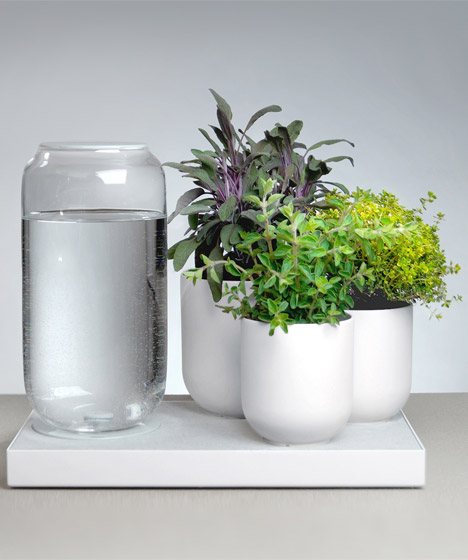 Pikaplant self watering systems