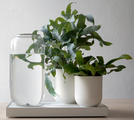 Pikaplant self watering systems