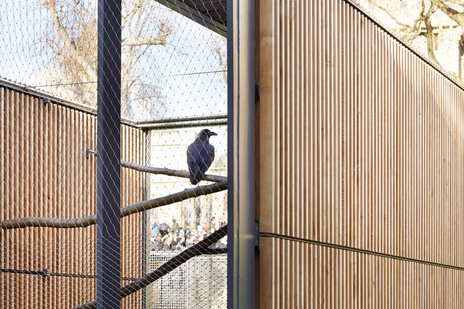 Ravens' enclosure by Llowarch Llowarch Architects