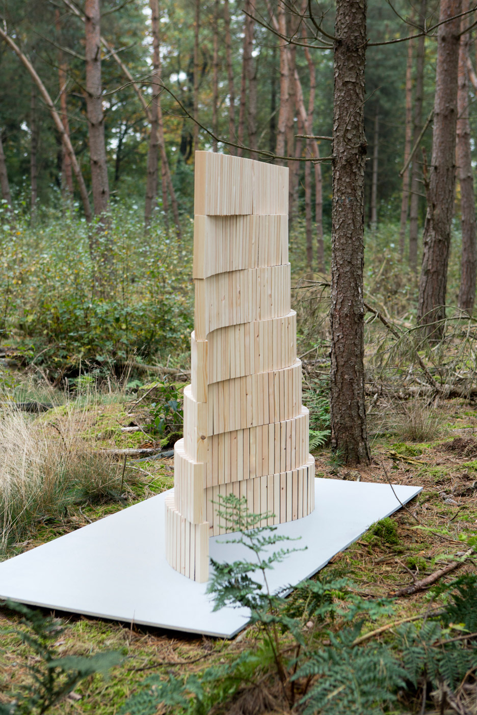 Reconfiguration of a tree by Studio Thomas Vailly