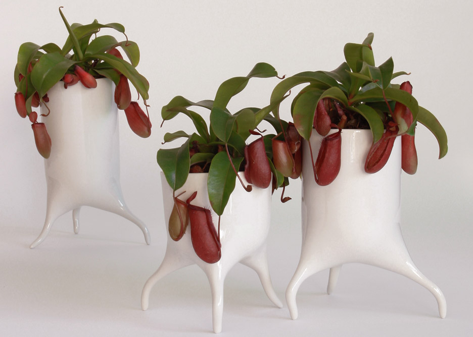 The Carnivora plant pots by Tim Van de Weerd