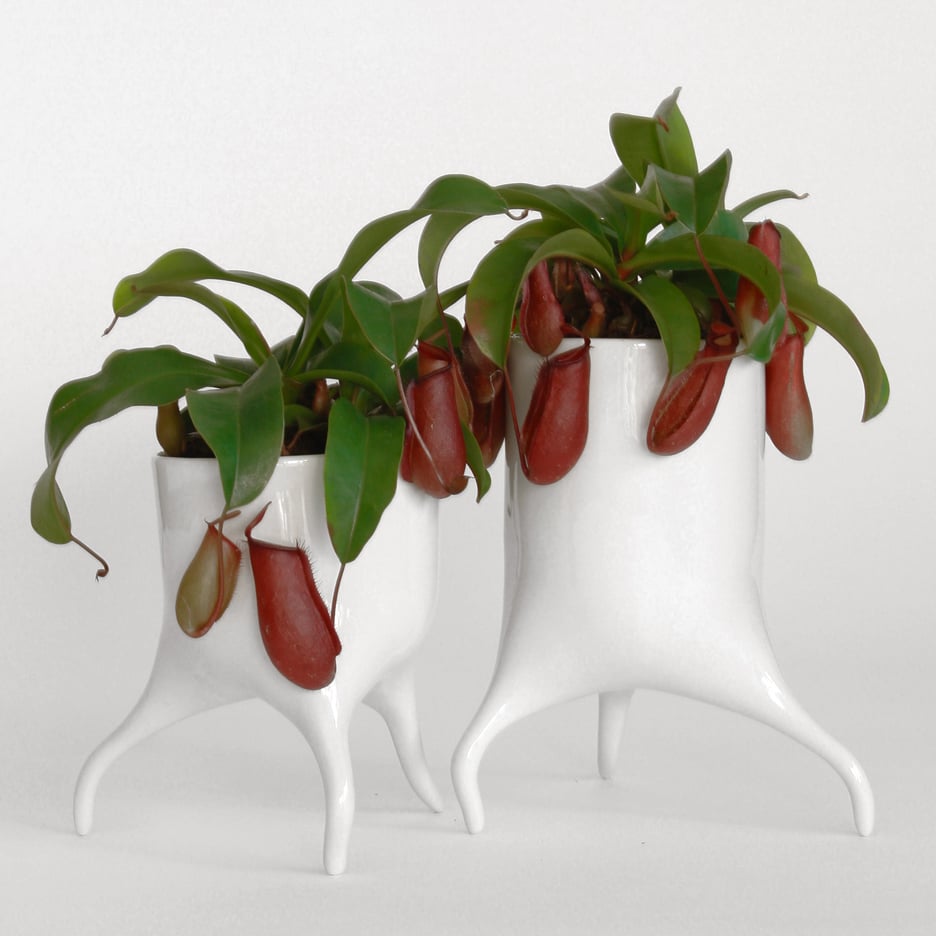 Tim van de Weerd's Carnivora plant pots designed to look like they could wander off