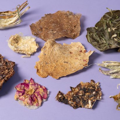 Material crafted from plant waste among projects from Lucerne University of Applied Sciences and Arts
